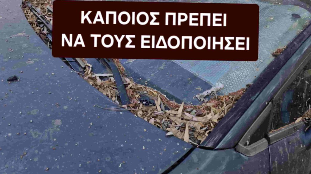 Καταλαμβάνουν θέσεις παρκαρίσματος