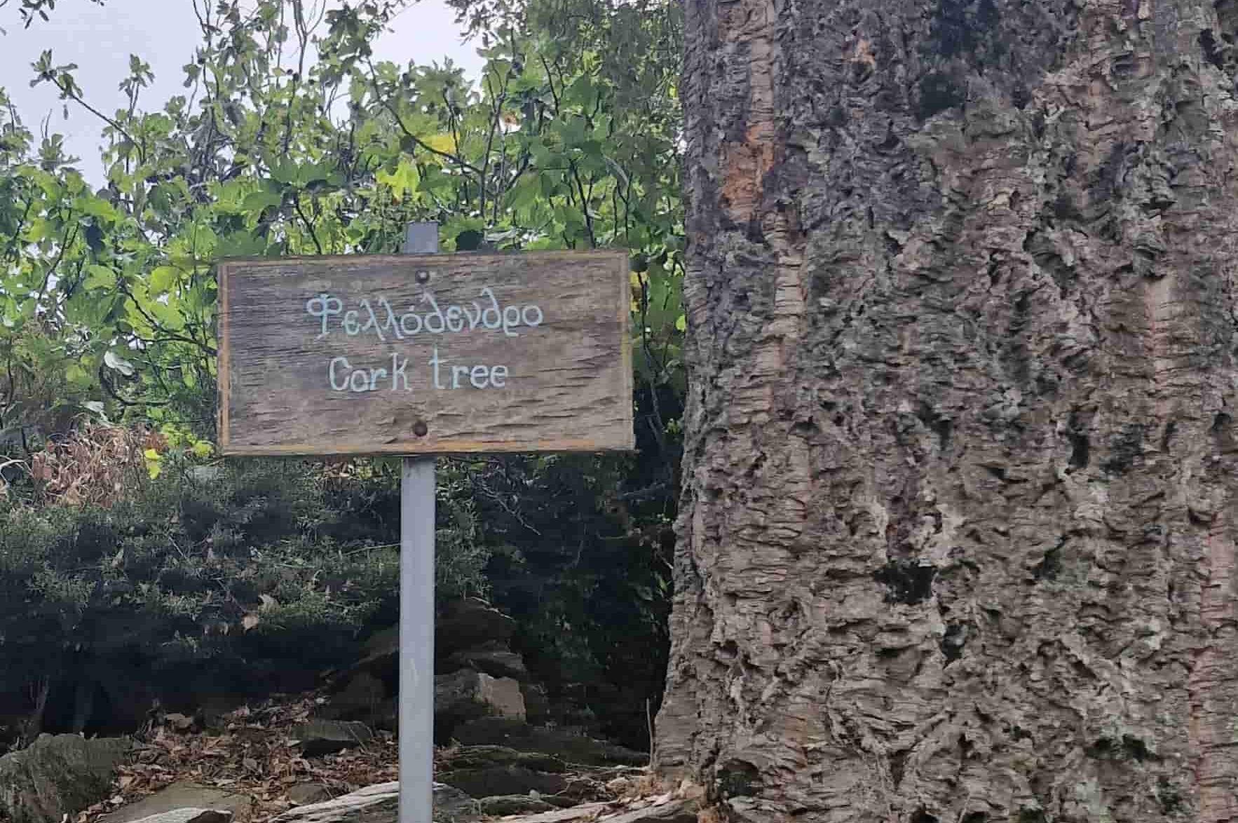 Γιατί η Ικαρία έγινε trend