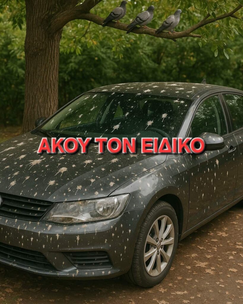 Άκου τον ειδικό