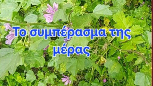 Το συμπέρασμα της μέρας