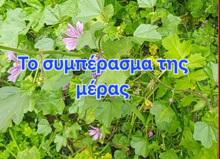 Το συμπέρασμα της μέρας