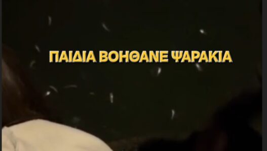 Παιδιά βοηθάνε ψαράκια