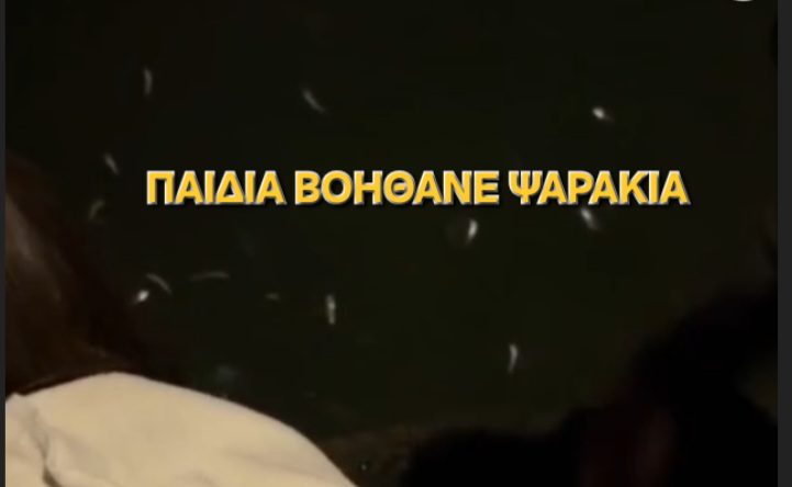 Παιδιά βοηθάνε ψαράκια